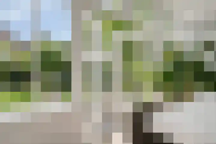 De Bosch Kemperlaan 13 Amersfoort thumbnail 22