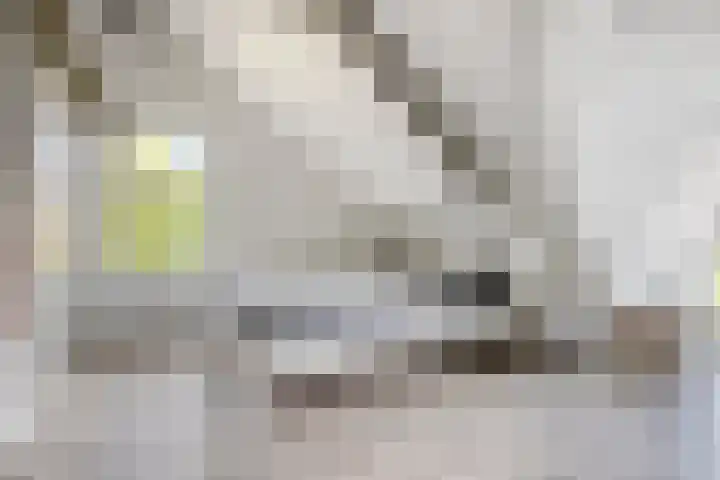 De Bosch Kemperlaan 13 Amersfoort thumbnail 38