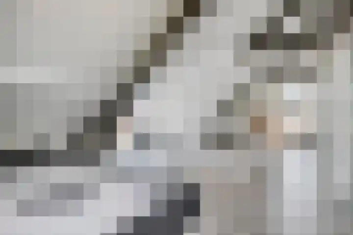 De Bosch Kemperlaan 13 Amersfoort thumbnail 39