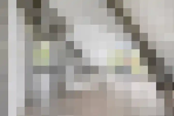 De Bosch Kemperlaan 13 Amersfoort thumbnail 40