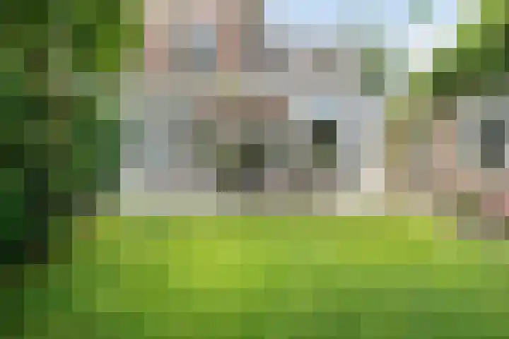 De Bosch Kemperlaan 13 Amersfoort thumbnail 42