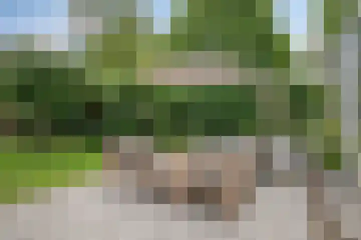 De Bosch Kemperlaan 13 Amersfoort thumbnail 44