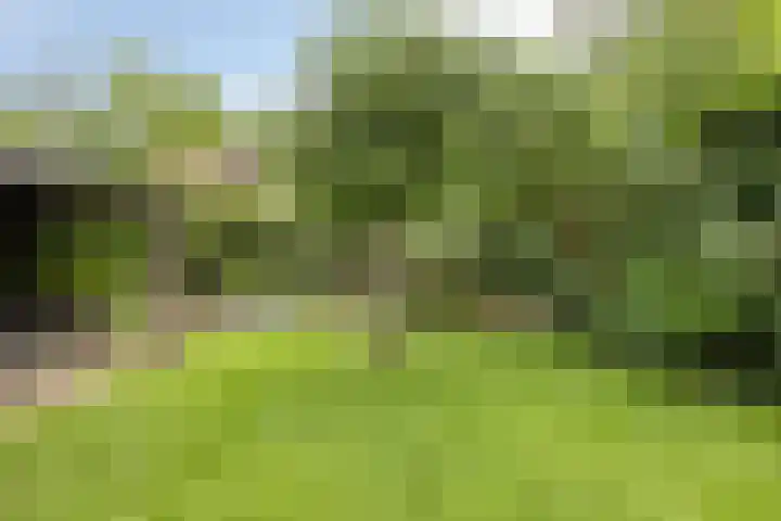De Bosch Kemperlaan 13 Amersfoort thumbnail 47