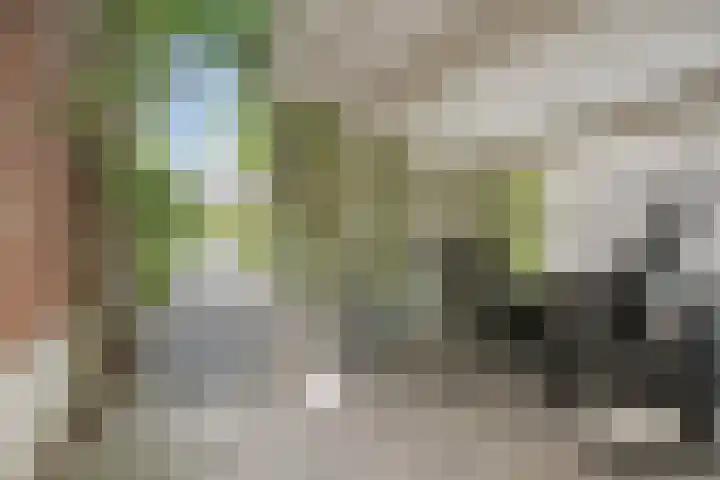 De Bosch Kemperlaan 13 Amersfoort thumbnail 48