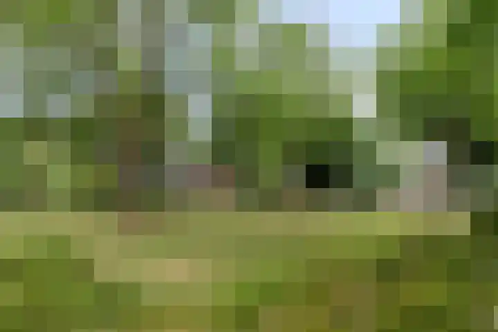 De Boskamp 1 Hoogland thumbnail 36