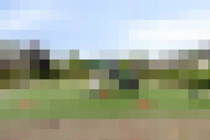 De Boskamp 1 Hoogland thumbnail 37