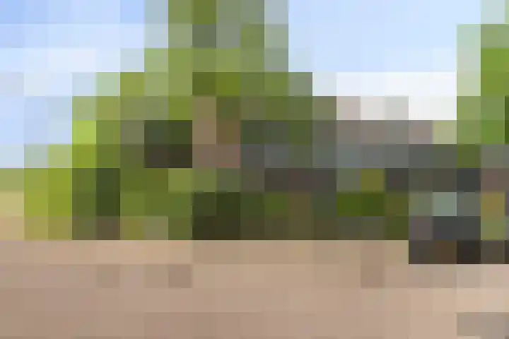 De Boskamp 1 Hoogland thumbnail 4