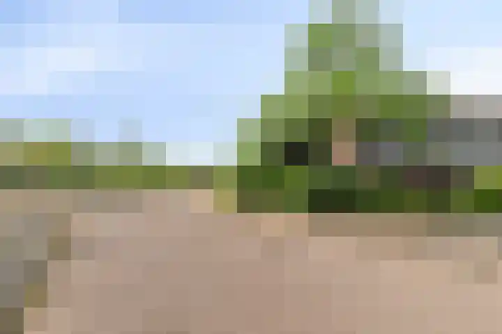 De Boskamp 1 Hoogland thumbnail 5
