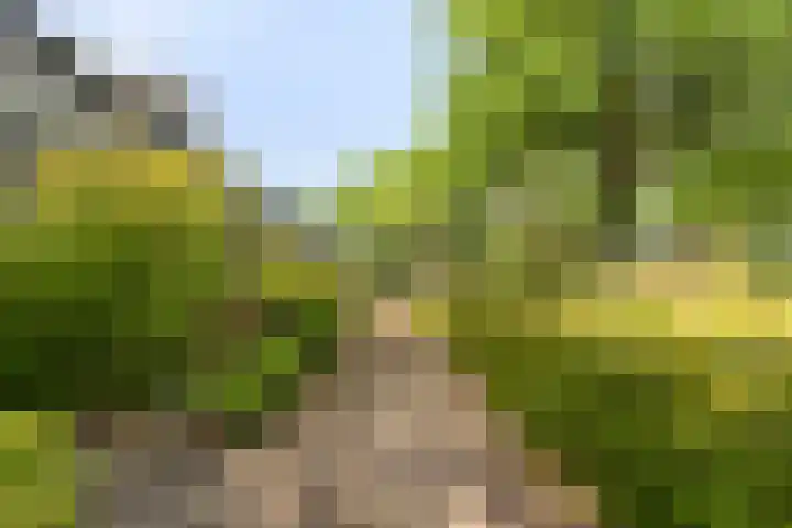 De Boskamp 1 Hoogland thumbnail 6
