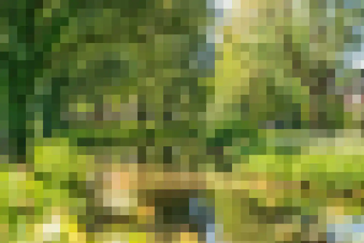 De Boskamp 106 Hoogland thumbnail 39