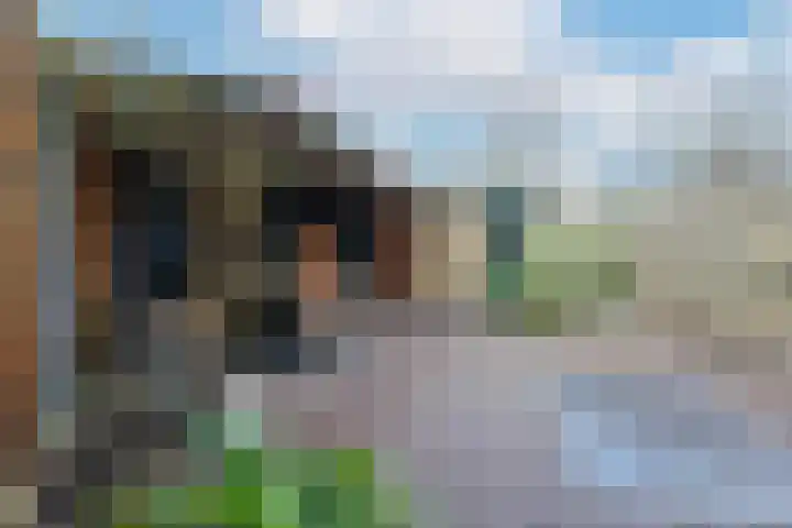 De Boskamp 109 Hoogland thumbnail 31