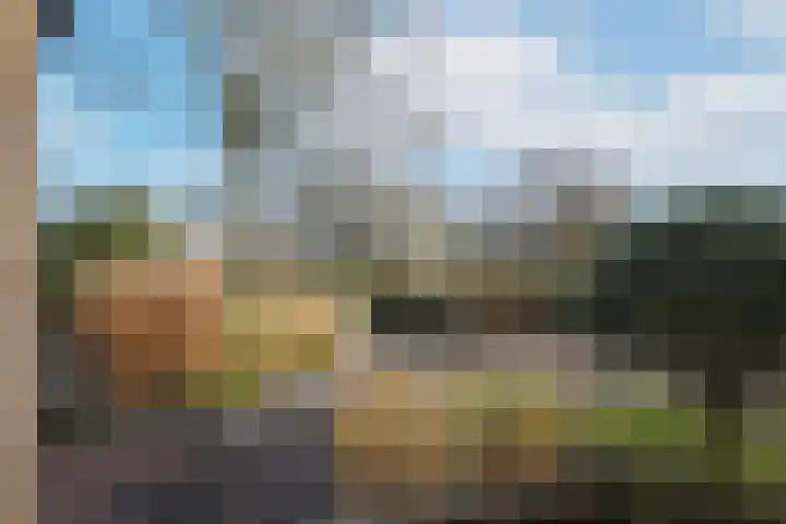 De Boskamp 109 Hoogland thumbnail 41