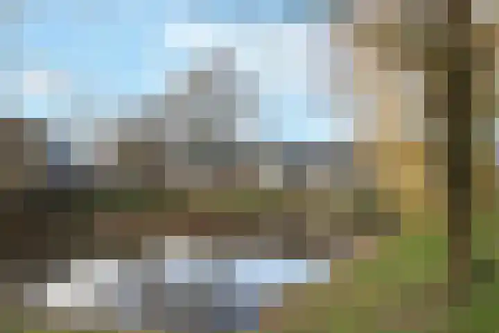 De Boskamp 109 Hoogland thumbnail 42