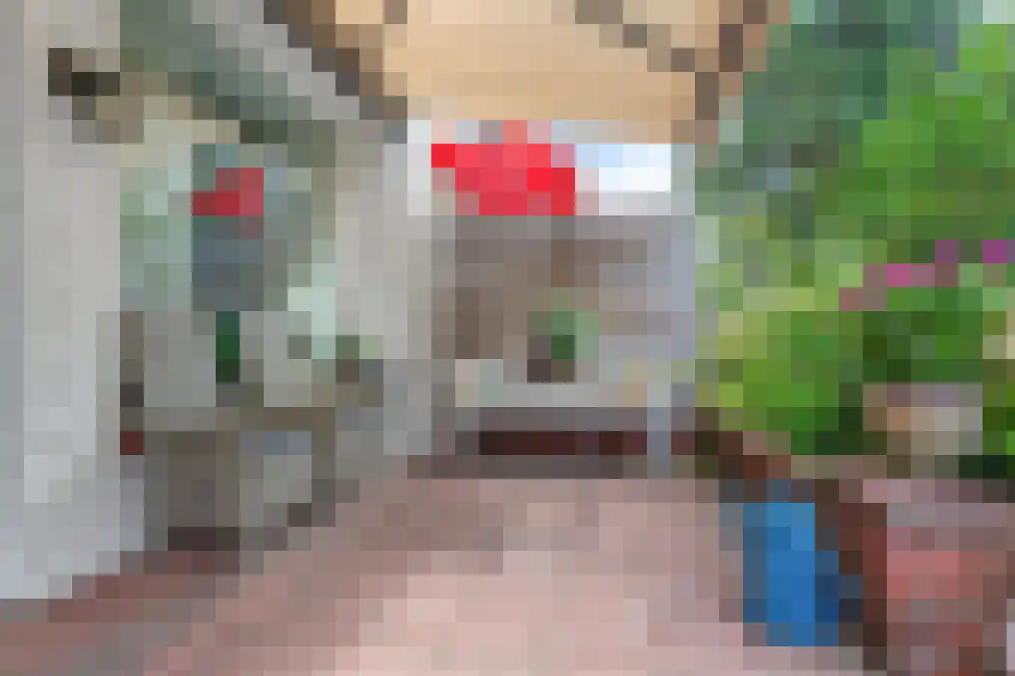 de Boskamp 16 Baarn thumbnail 18