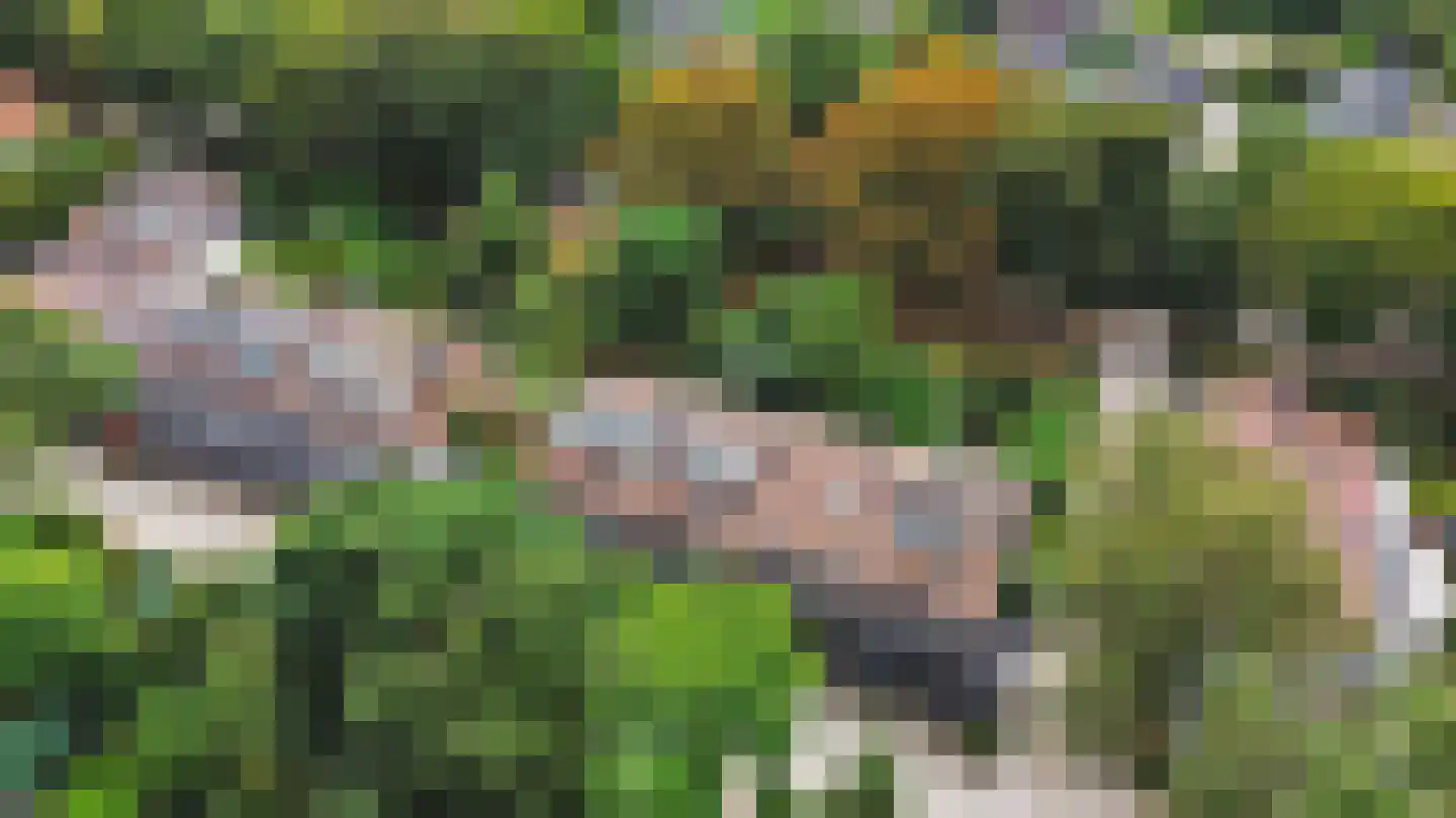 de Boskamp 16 Baarn thumbnail 21