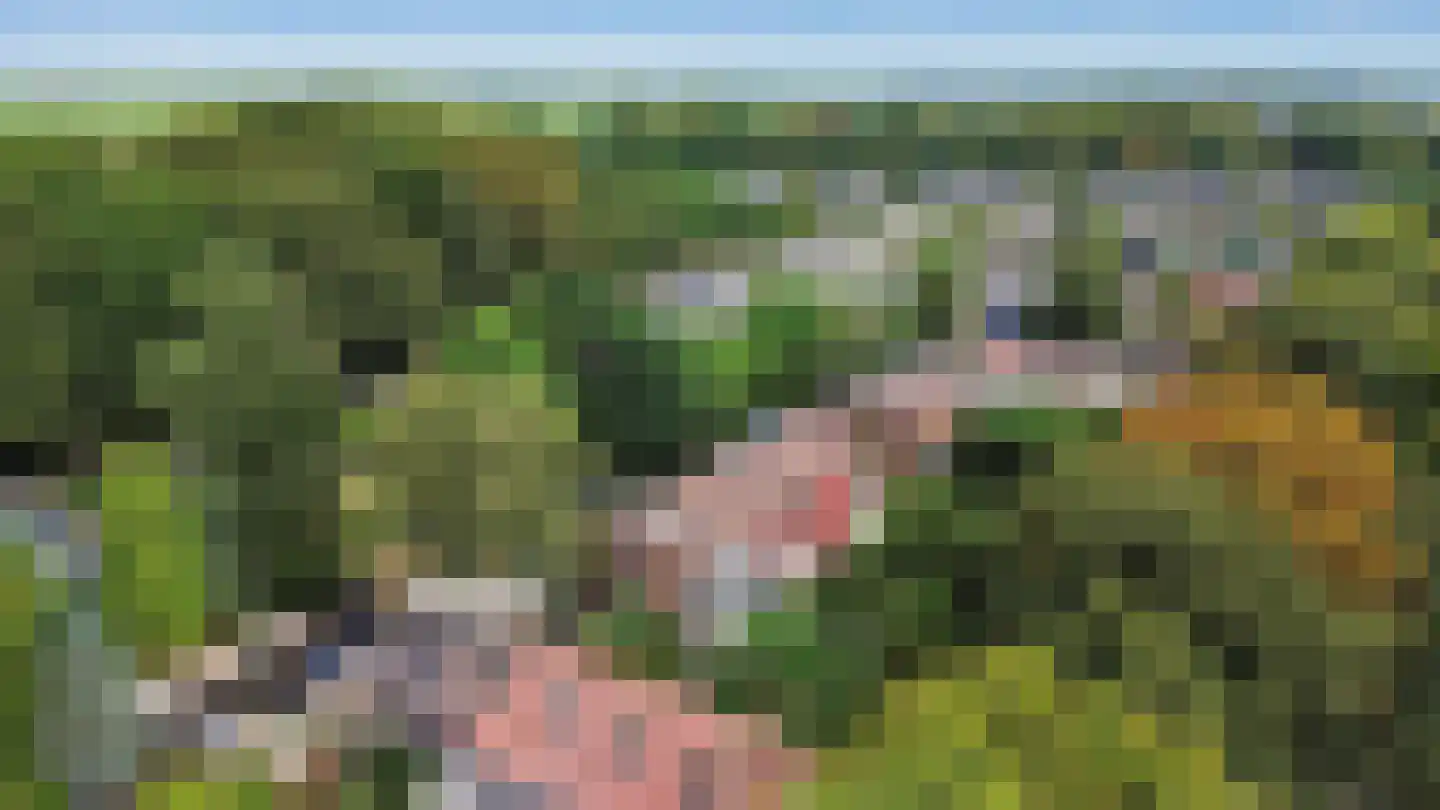 de Boskamp 16 Baarn thumbnail 22