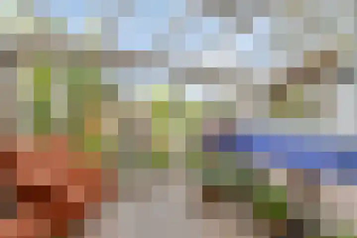 De Boskamp 32 Hoogland thumbnail 12