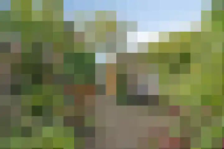De Boskamp 32 Hoogland thumbnail 26