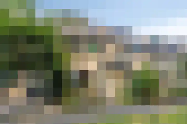 De Boskamp 32 Hoogland thumbnail 30