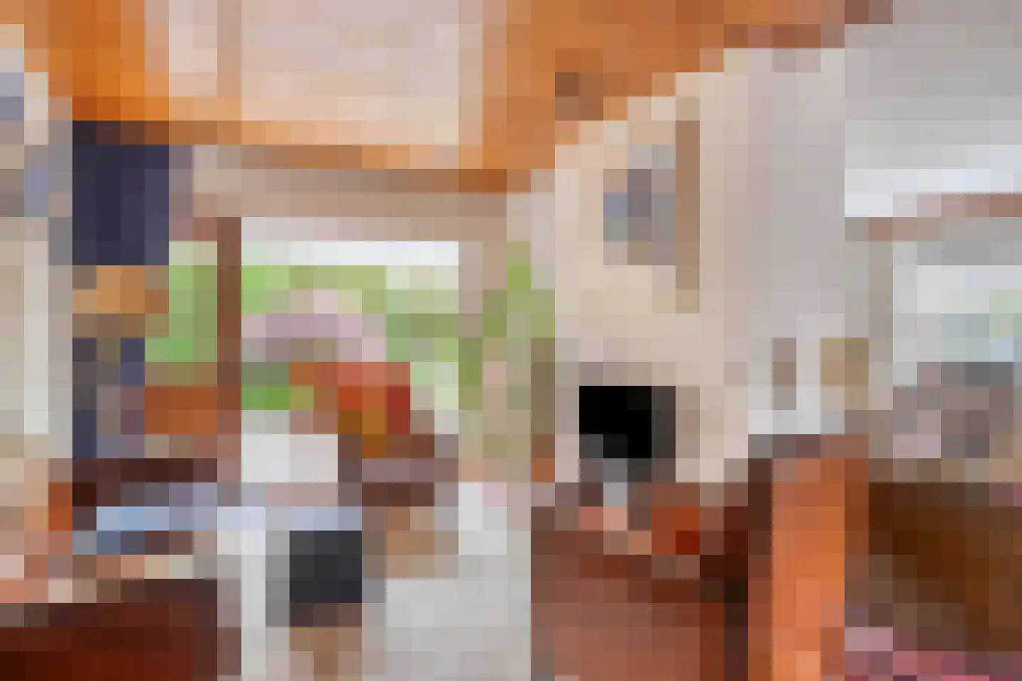 De Boskant 1 Leersum thumbnail 14