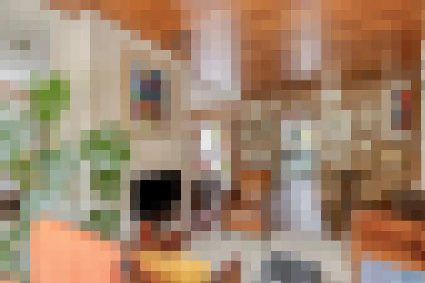 De Boskant 1 Leersum thumbnail 20