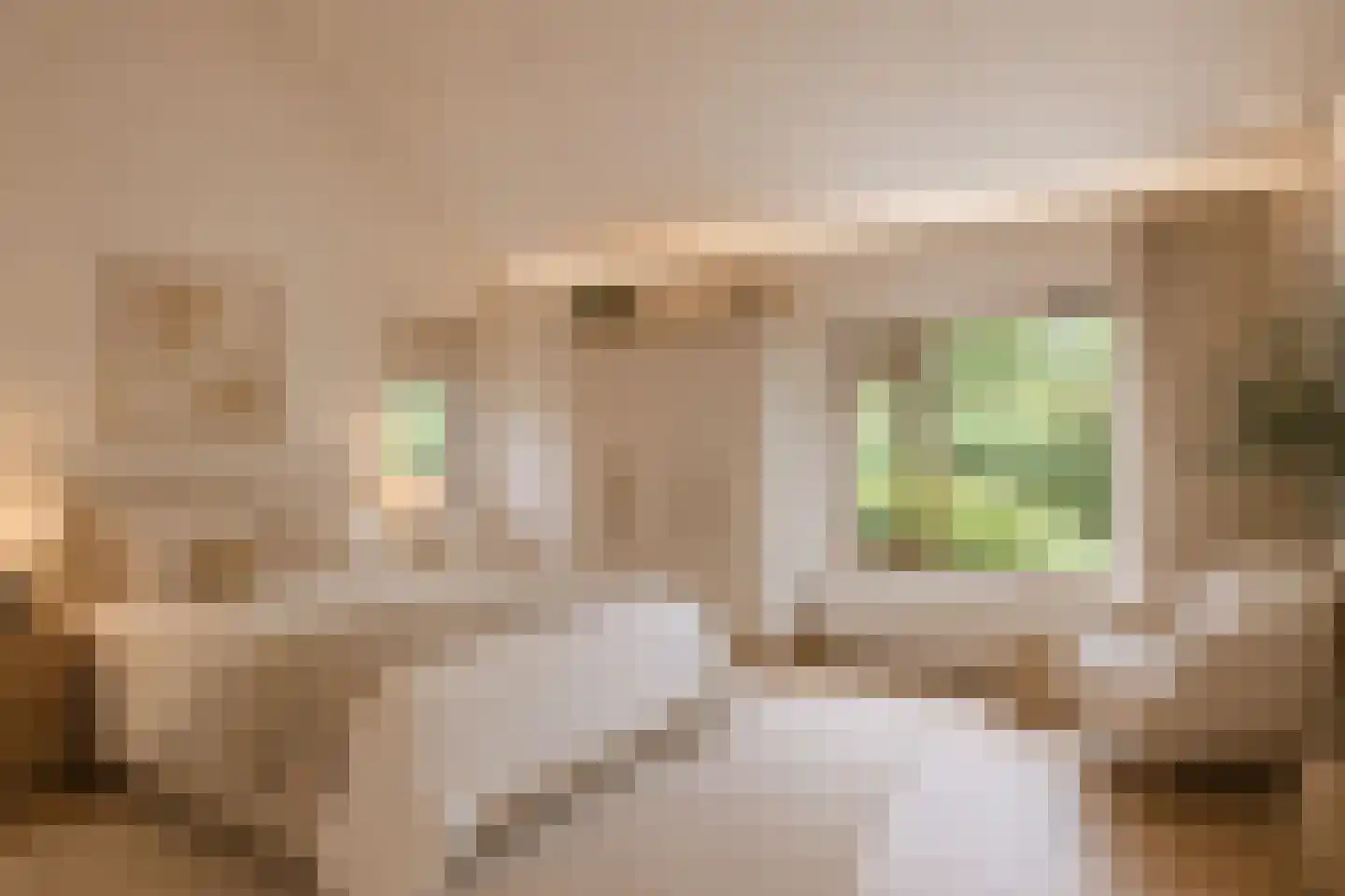 De Boskant 1 Leersum thumbnail 29