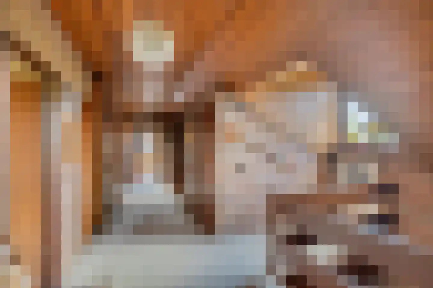 De Boskant 1 Leersum thumbnail 35