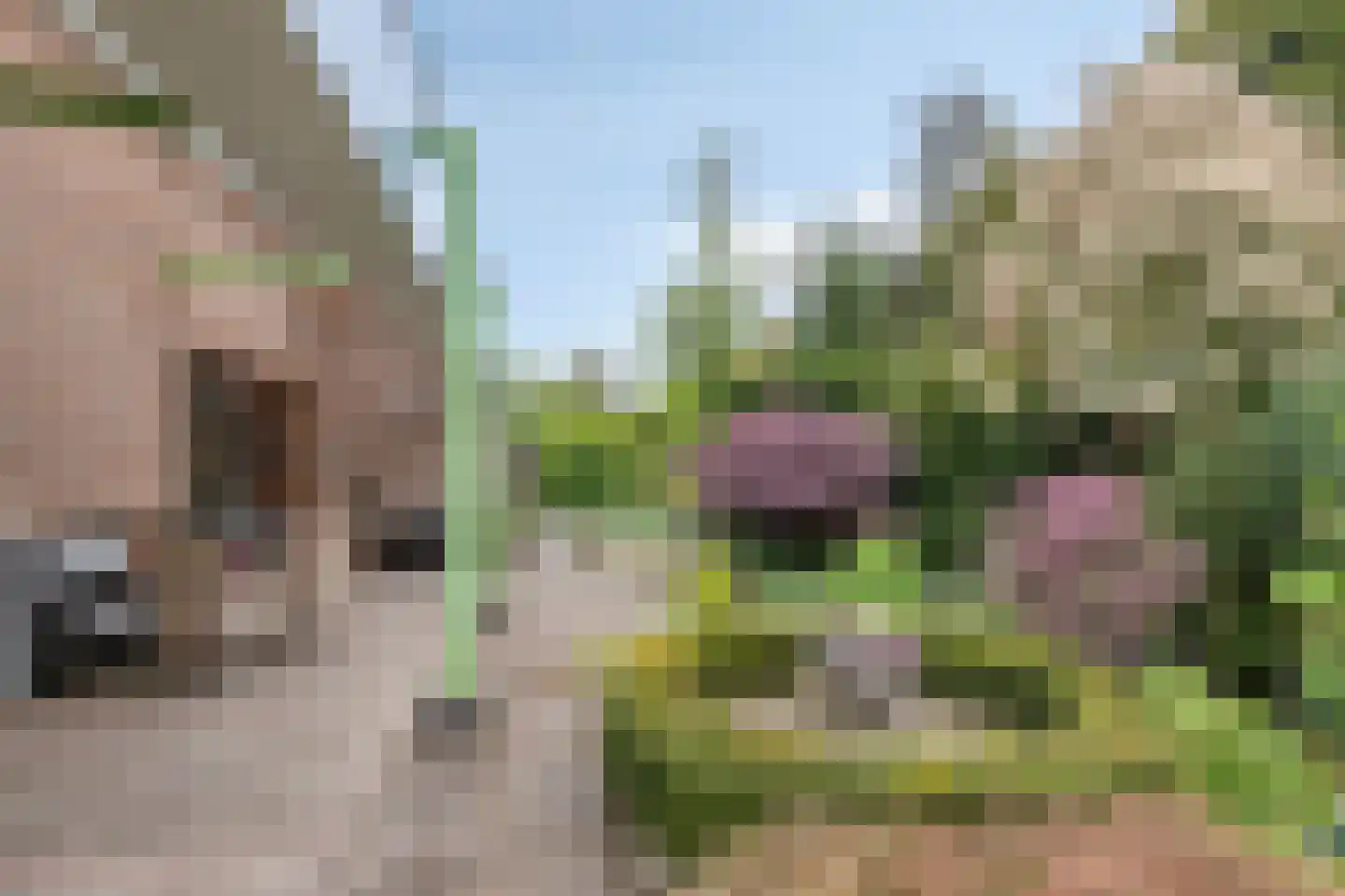 De Boskant 1 Leersum thumbnail 4