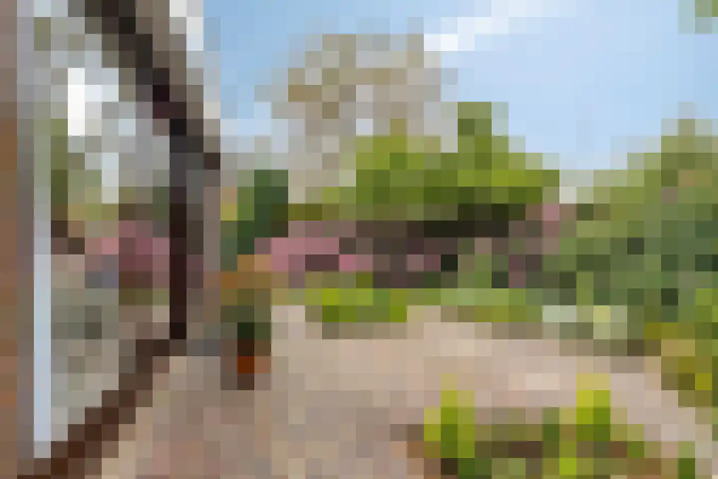 De Boskant 1 Leersum thumbnail 48
