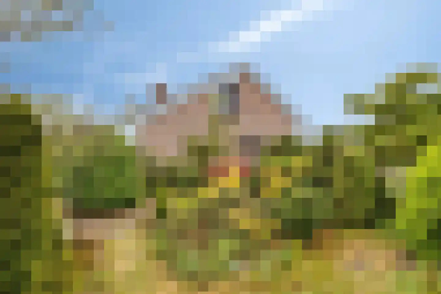 De Boskant 1 Leersum thumbnail 5