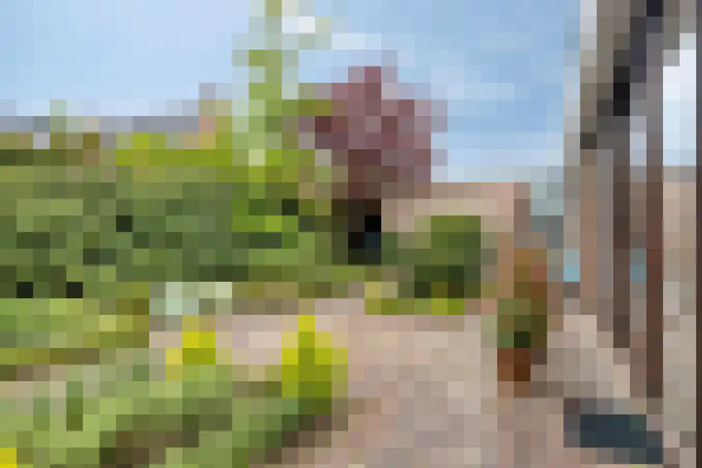 De Boskant 1 Leersum thumbnail 50