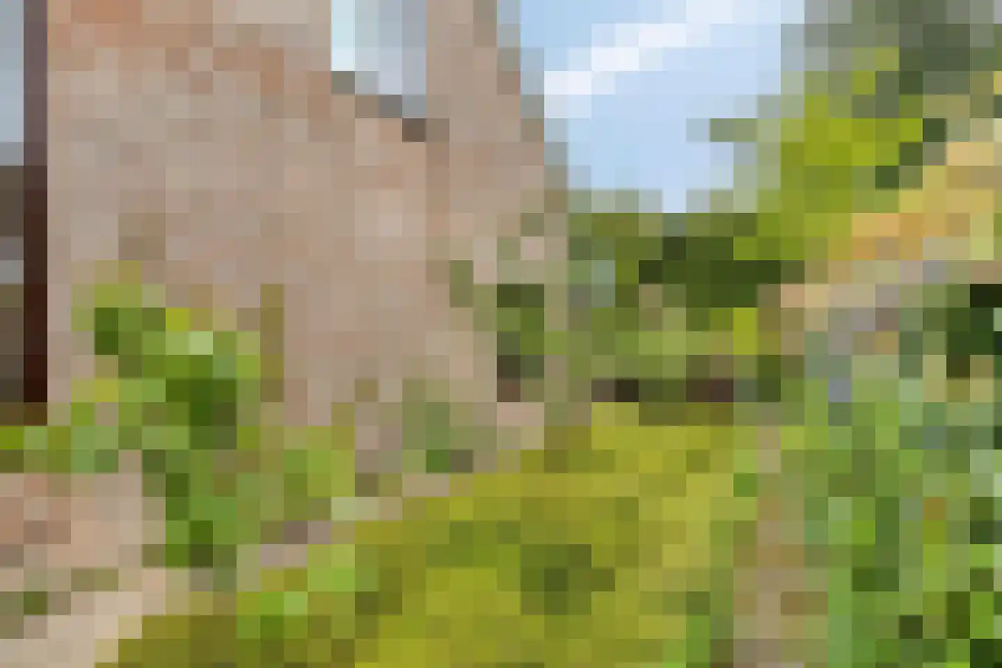 De Boskant 1 Leersum thumbnail 52