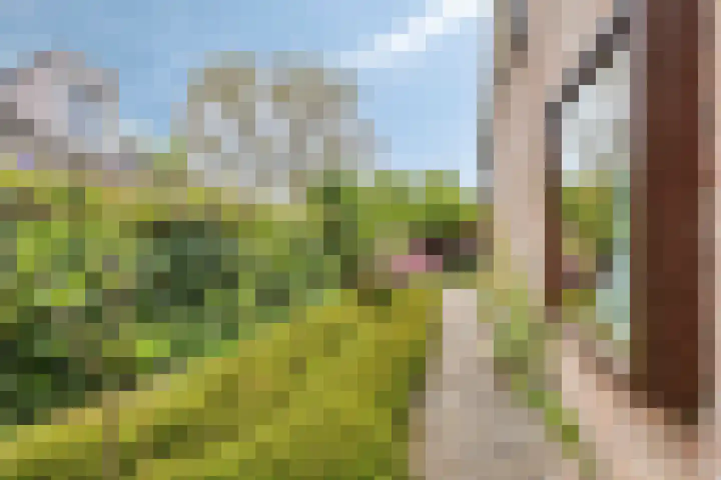 De Boskant 1 Leersum thumbnail 53