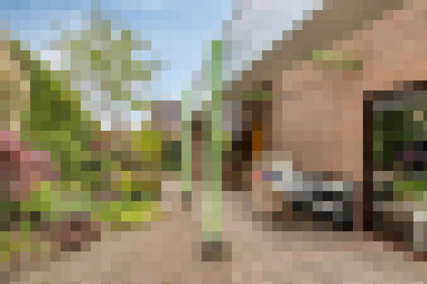 De Boskant 1 Leersum thumbnail 55