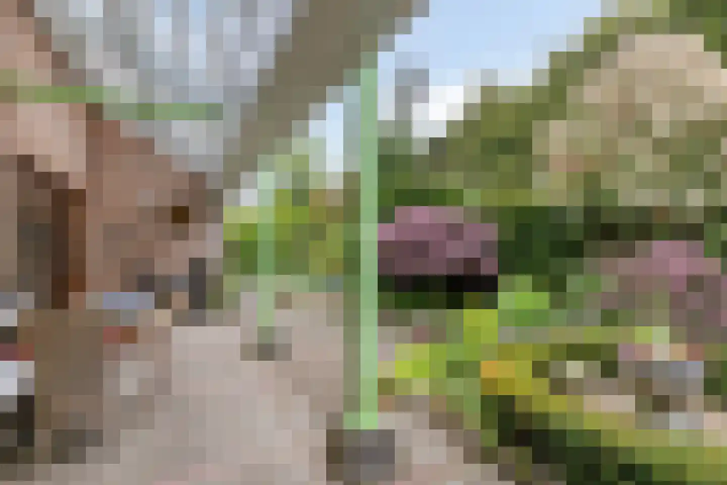 De Boskant 1 Leersum thumbnail 56