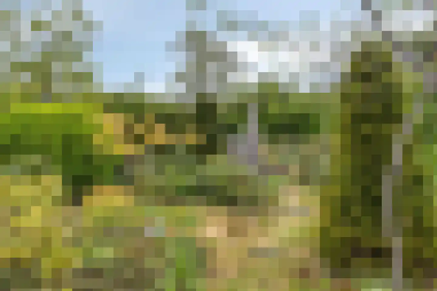 De Boskant 1 Leersum thumbnail 57