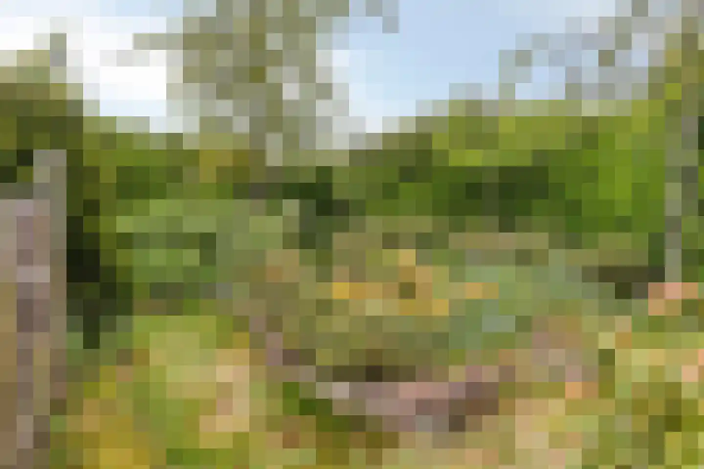 De Boskant 1 Leersum thumbnail 58