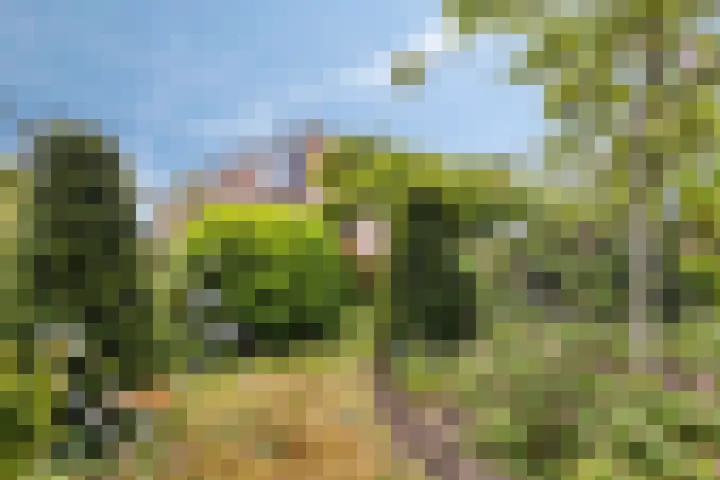 De Boskant 1 Leersum thumbnail 59