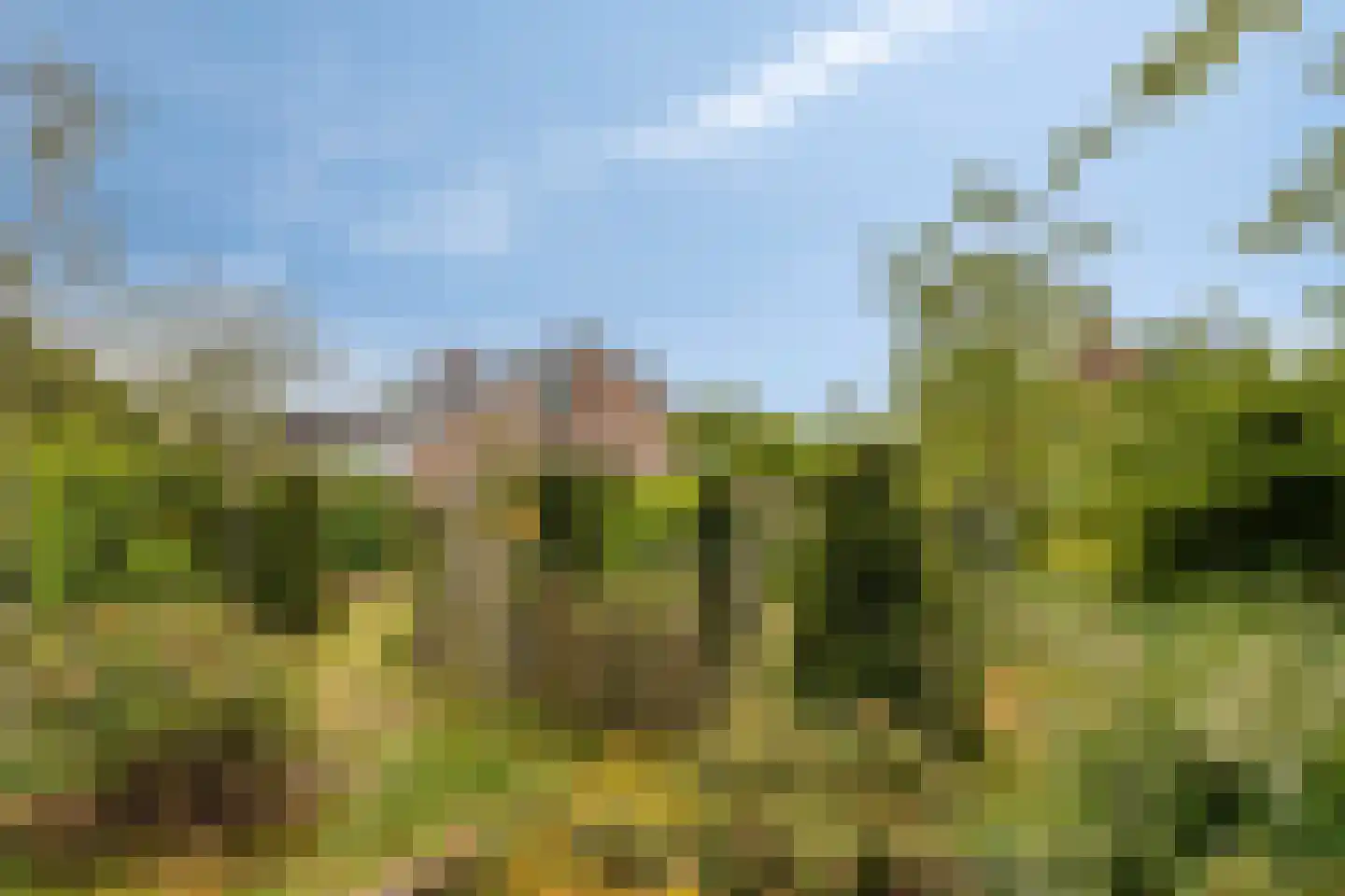 De Boskant 1 Leersum thumbnail 60