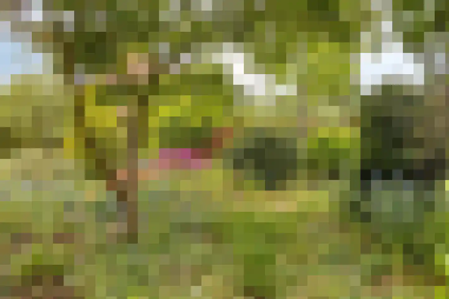 De Boskant 1 Leersum thumbnail 61