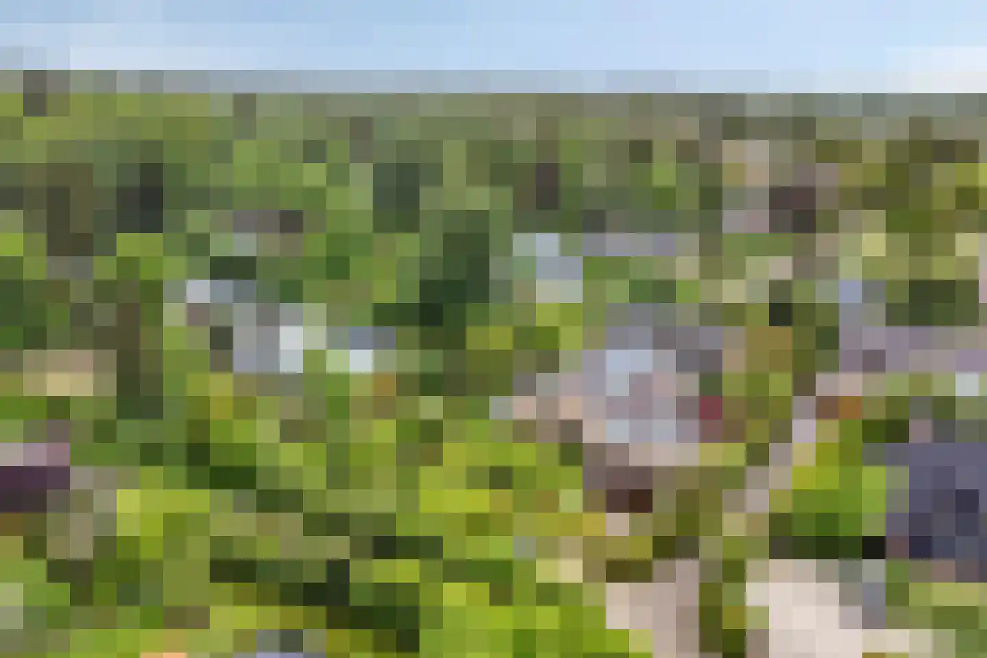 De Boskant 1 Leersum thumbnail 62