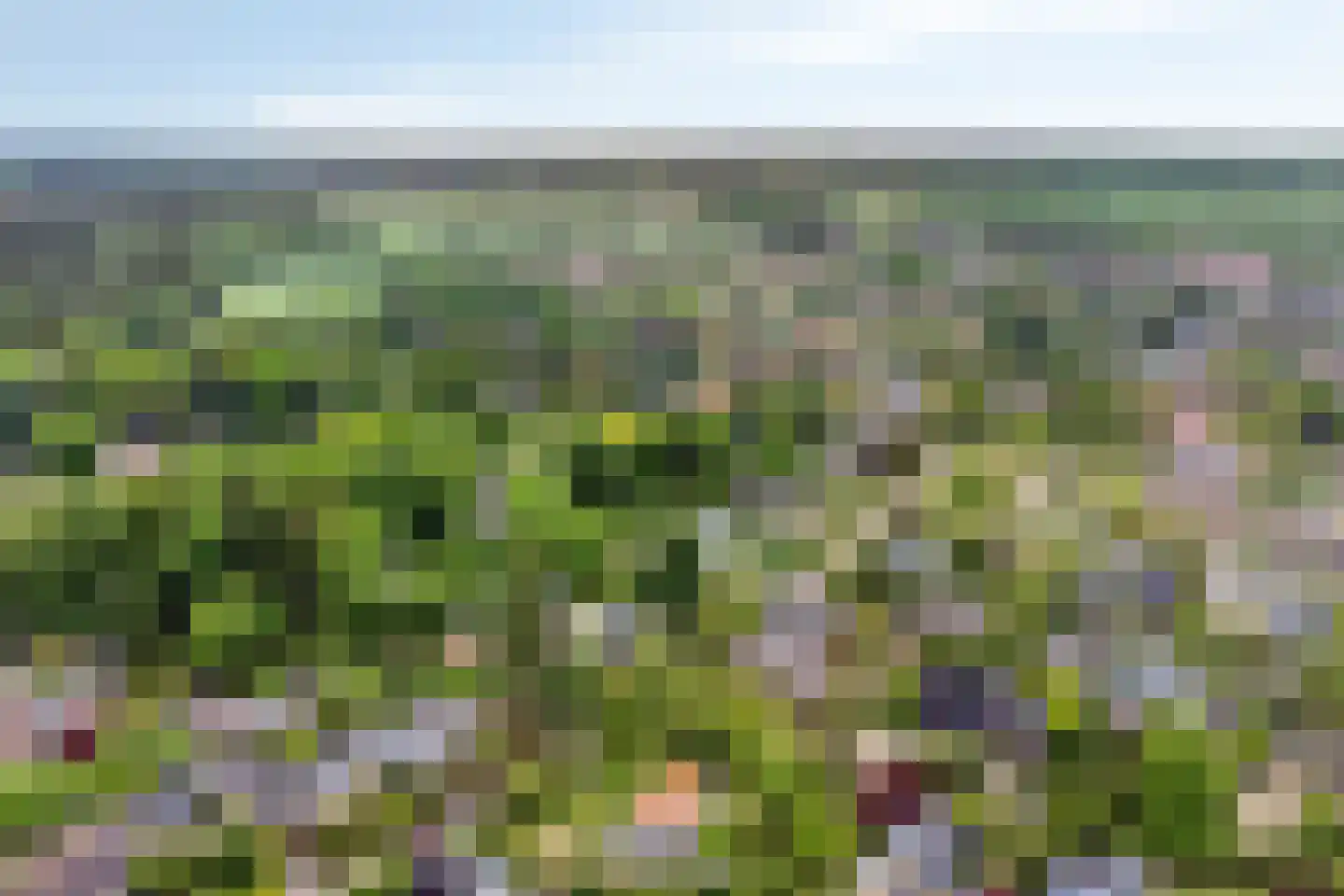 De Boskant 1 Leersum thumbnail 63