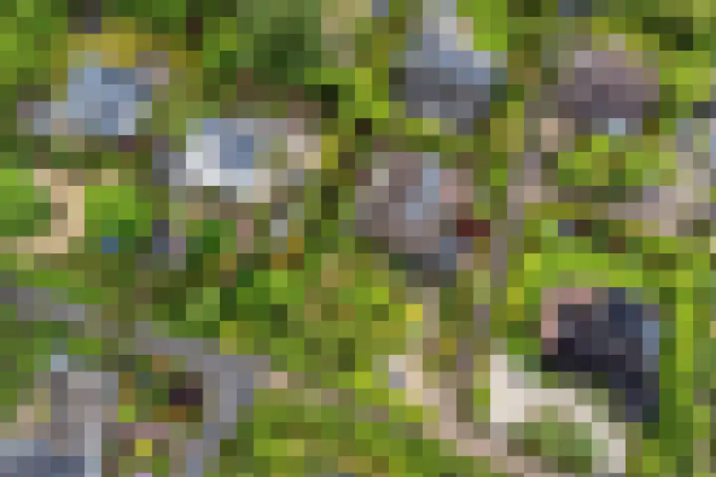 De Boskant 1 Leersum thumbnail 64