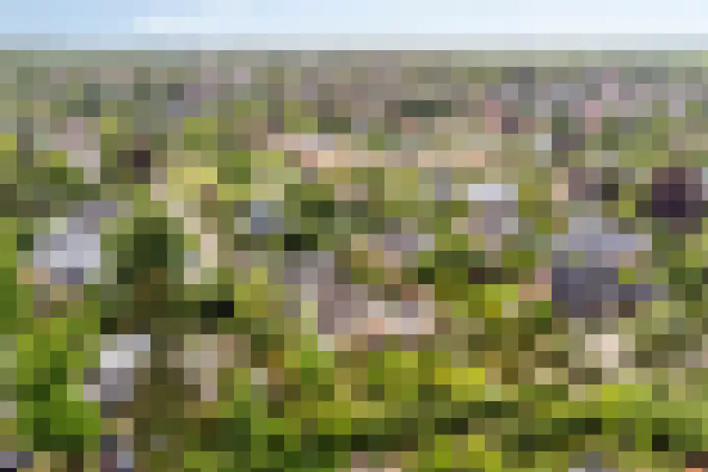 De Boskant 1 Leersum thumbnail 65