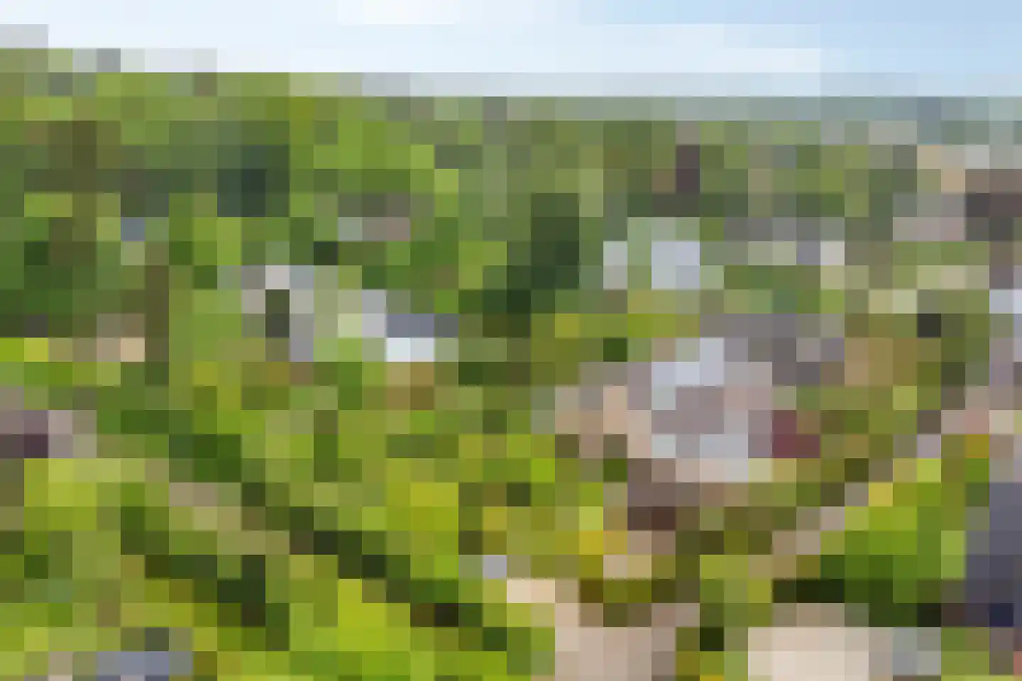 De Boskant 1 Leersum thumbnail 66