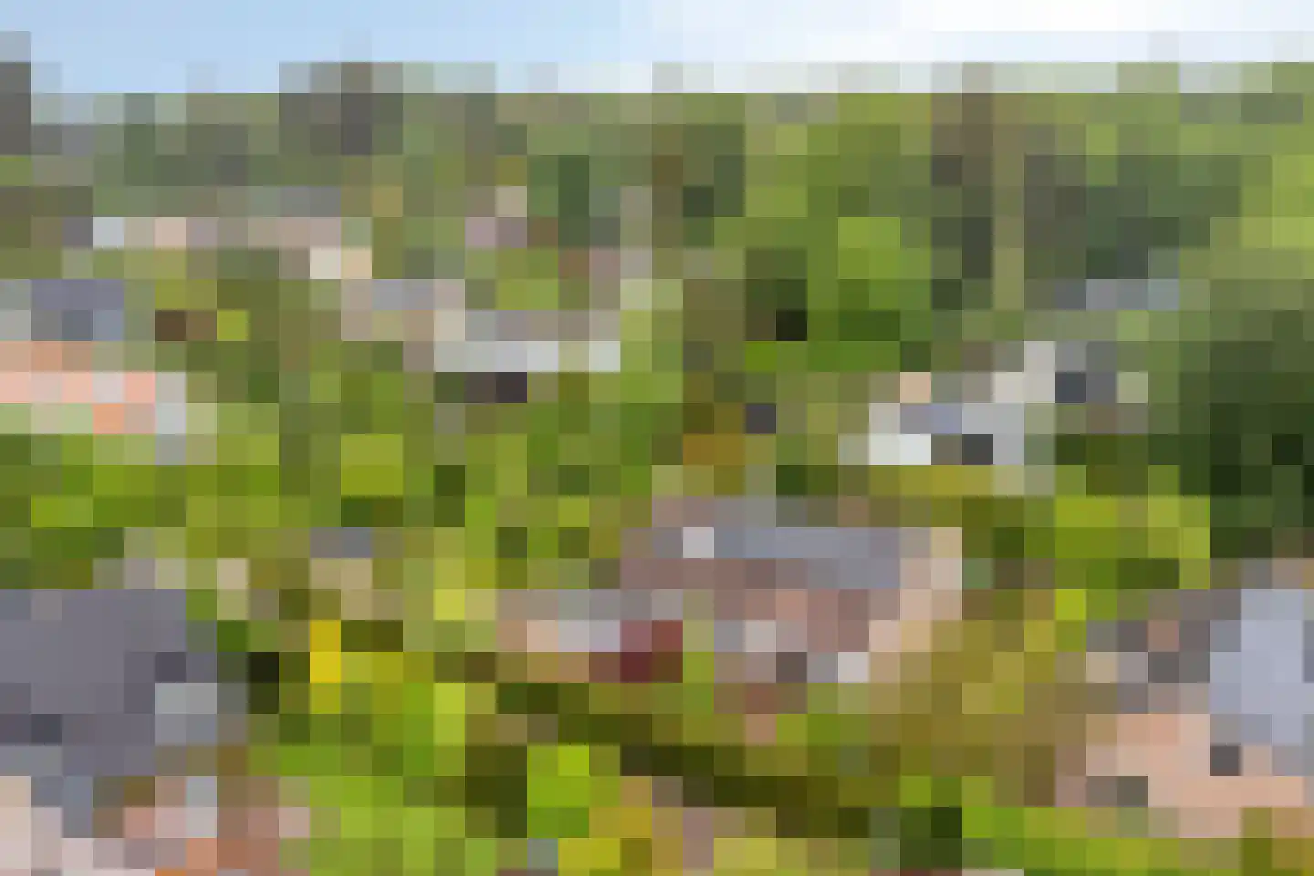 De Boskant 1 Leersum thumbnail 67