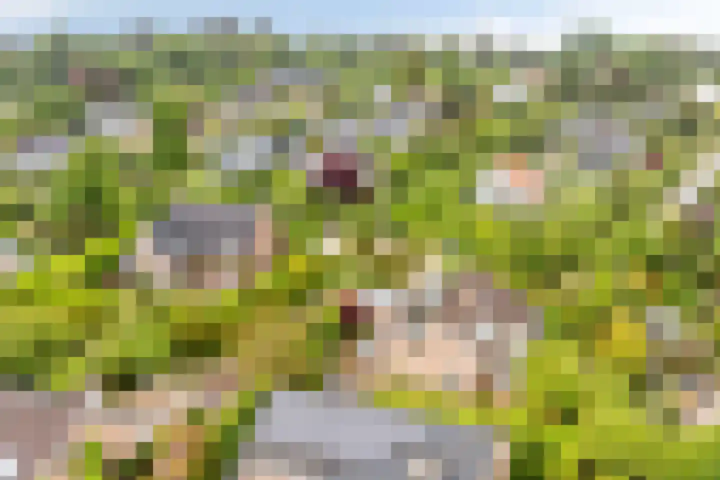 De Boskant 1 Leersum thumbnail 68