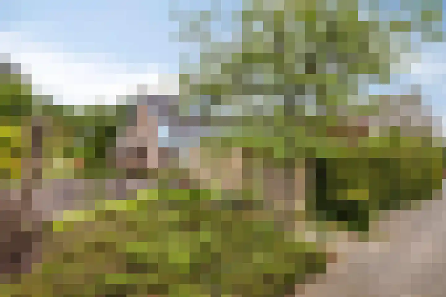 De Boskant 1 Leersum thumbnail 69