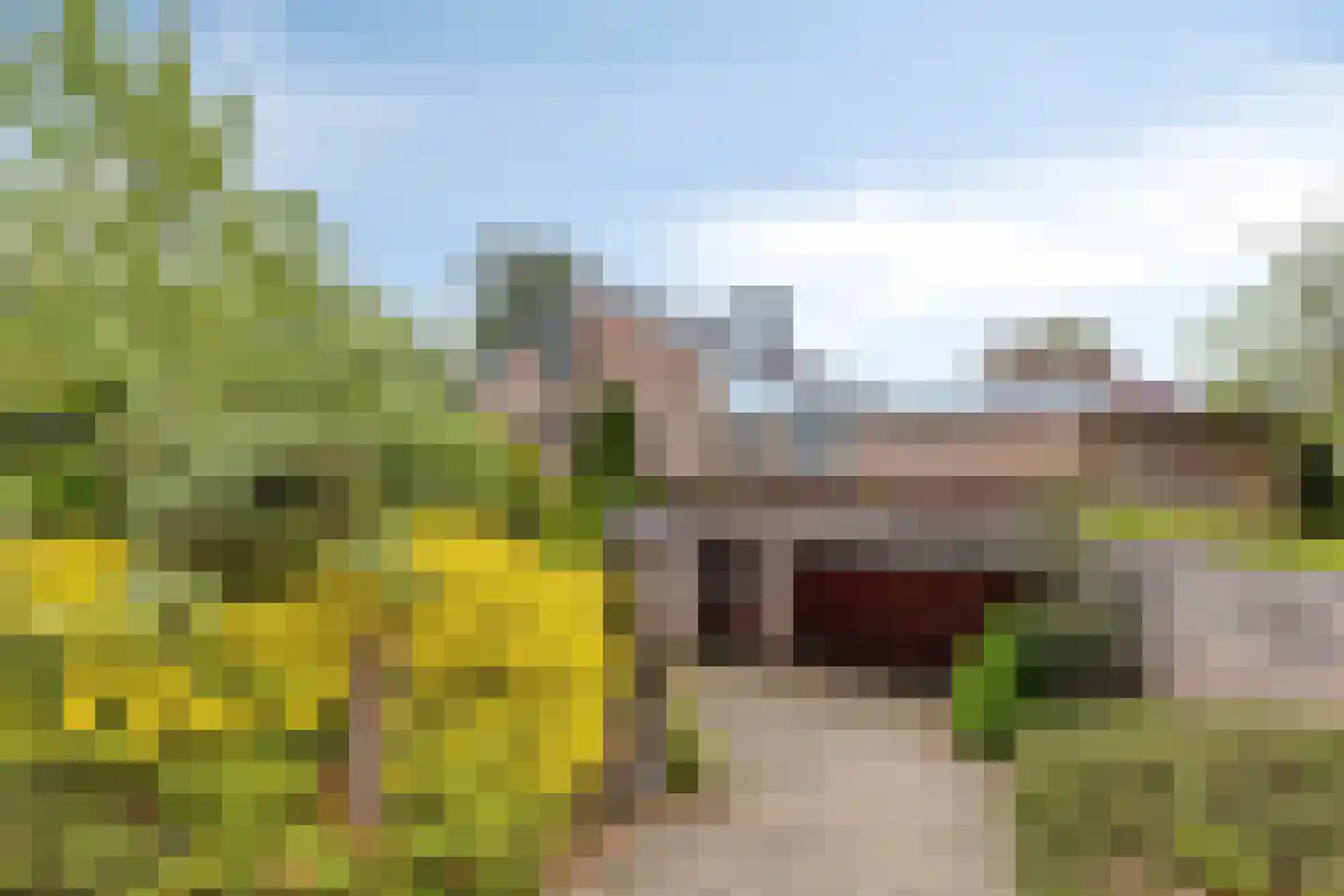 De Boskant 1 Leersum thumbnail 7