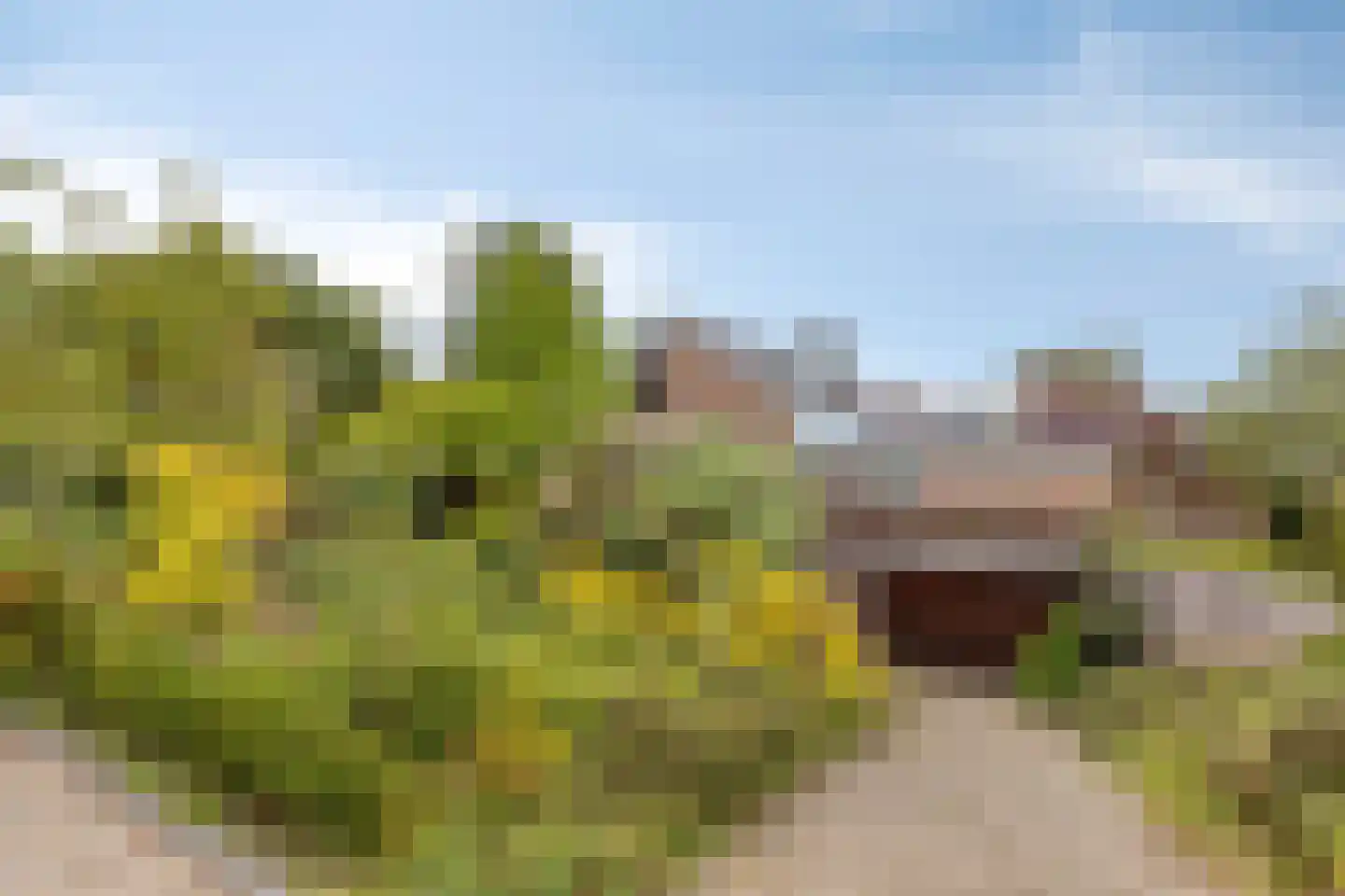 De Boskant 1 Leersum thumbnail 71